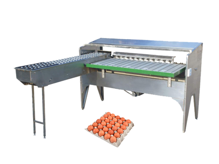 Tz-5400 large scale egg sorting machine