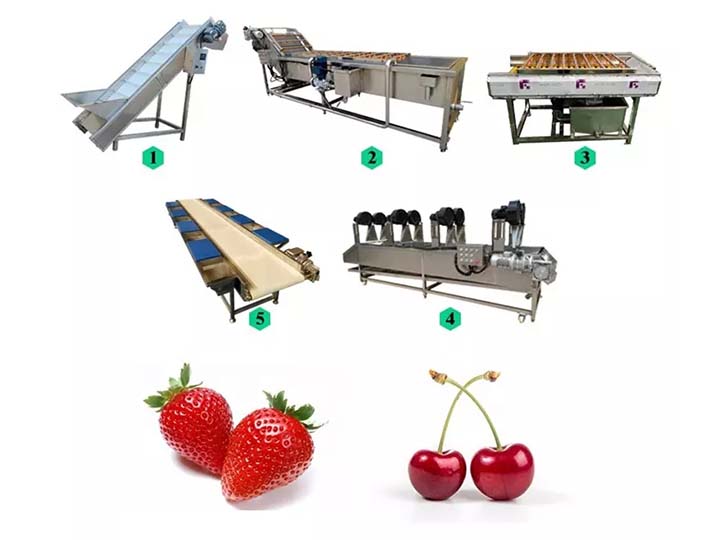 Fruit and vegetable washing drying line