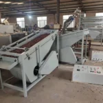 Máquina separadora de la línea de procesamiento de nueces de macadamia.