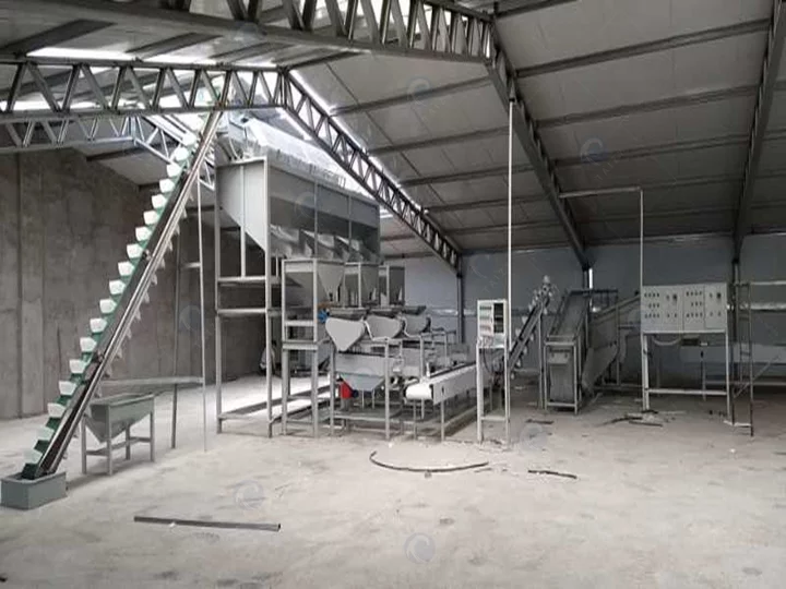 commercial macadamia nuts processing line