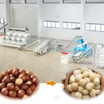 línea de procesamiento de nueces de macadamia