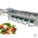 Fruit and vegetable grading machine