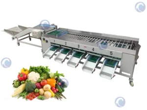 Máquina classificadora de frutas e vegetais