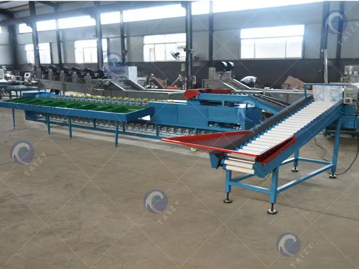 Commercial weight-based fruit and vegetable grading machine