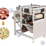 máquina de descascar amendoim molhado