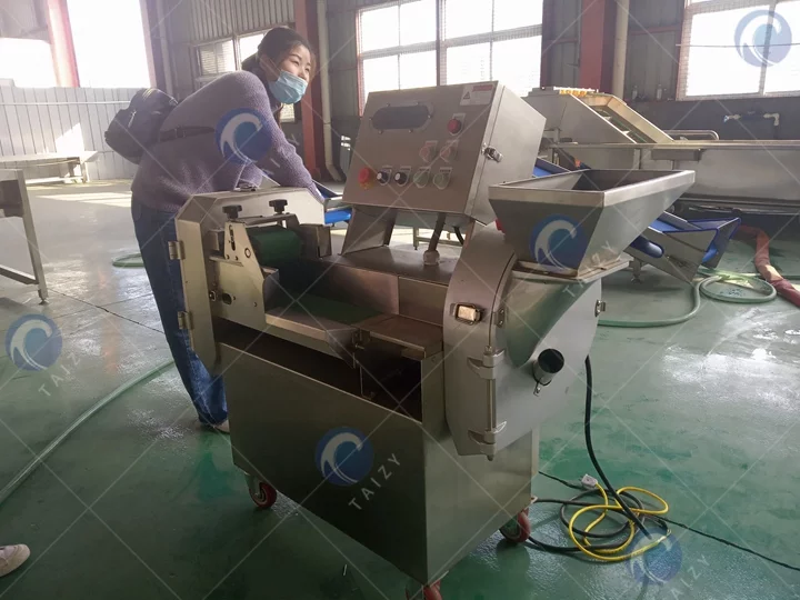 commercial Double head vegetable cutter machine