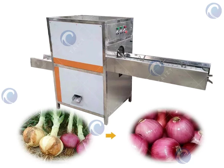 Onion root cutting machine