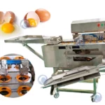 Egg white yolk separating machine