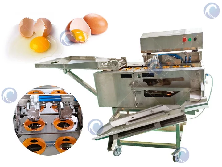 Egg white yolk separator machine | Egg breaking machine