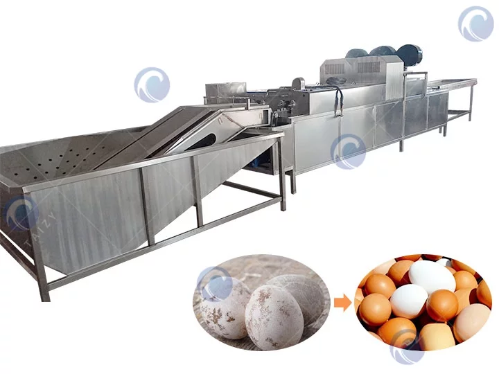 Egg washing machine | Egg cleaner machine