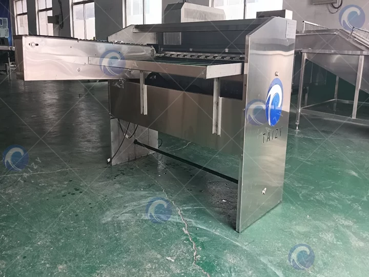 Egg grading machine exported to India