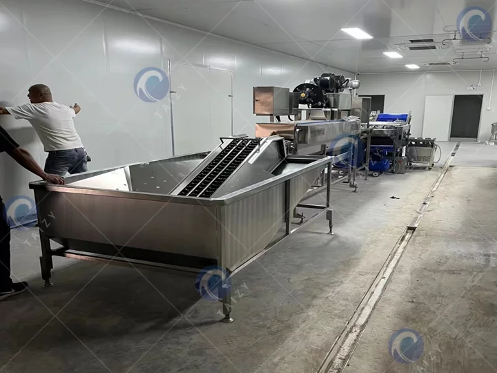 commercial Egg washing machine